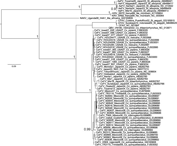 Fig. 3. 