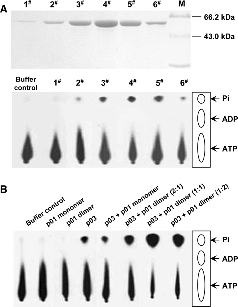 Fig. 6