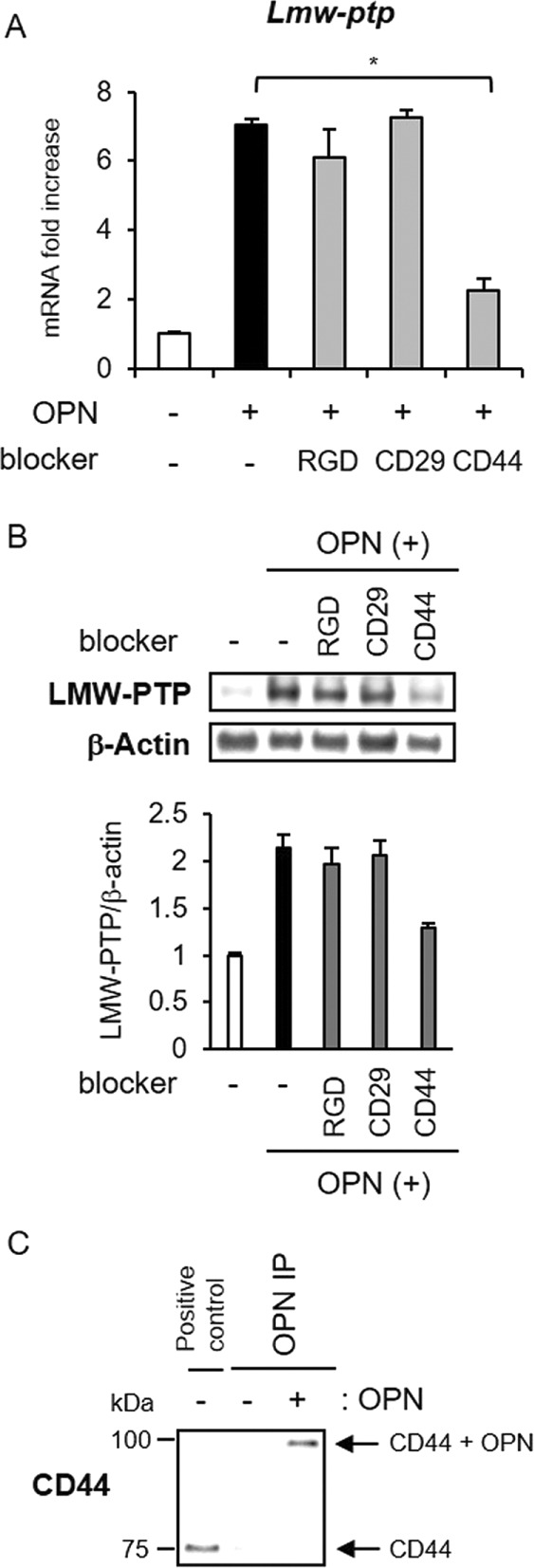 FIGURE 7: