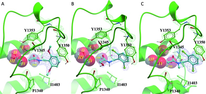 Fig. 6