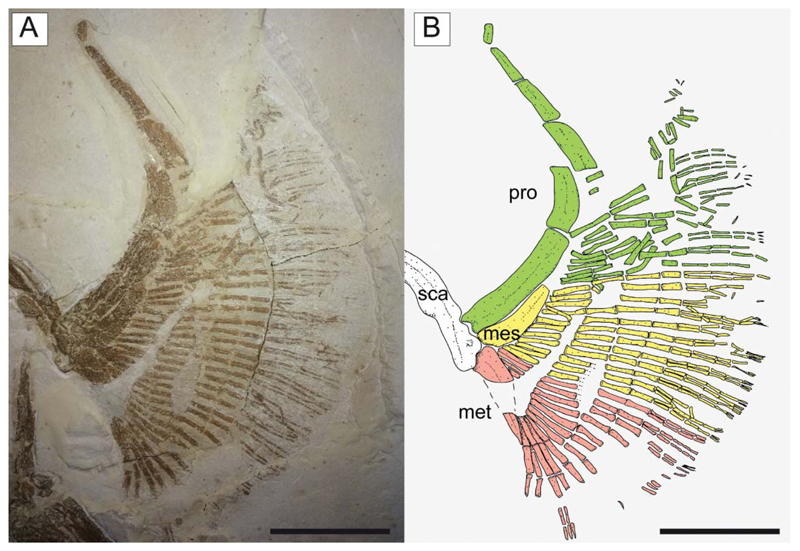 Figure 10