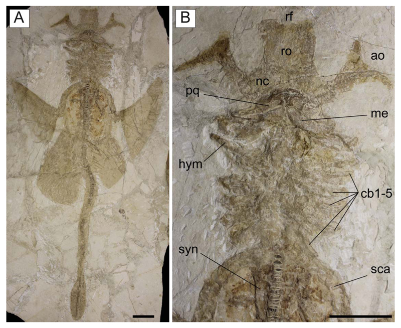 Figure 17