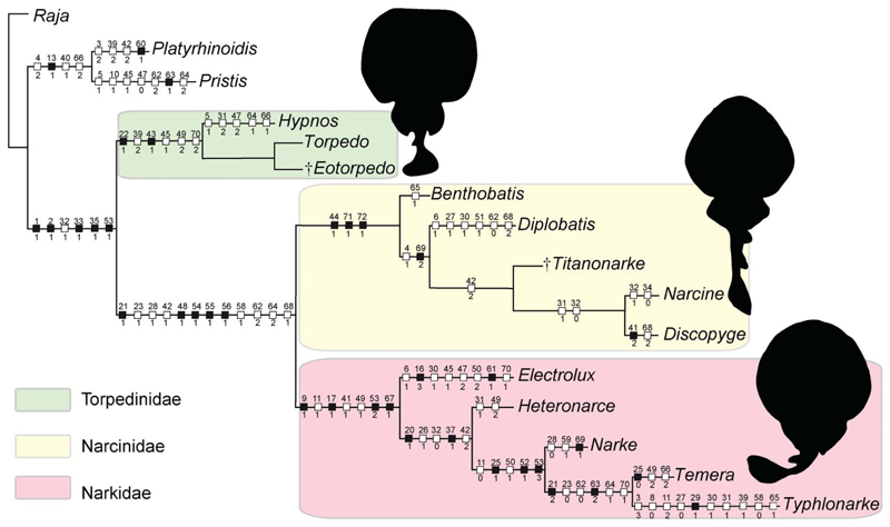 Figure 18