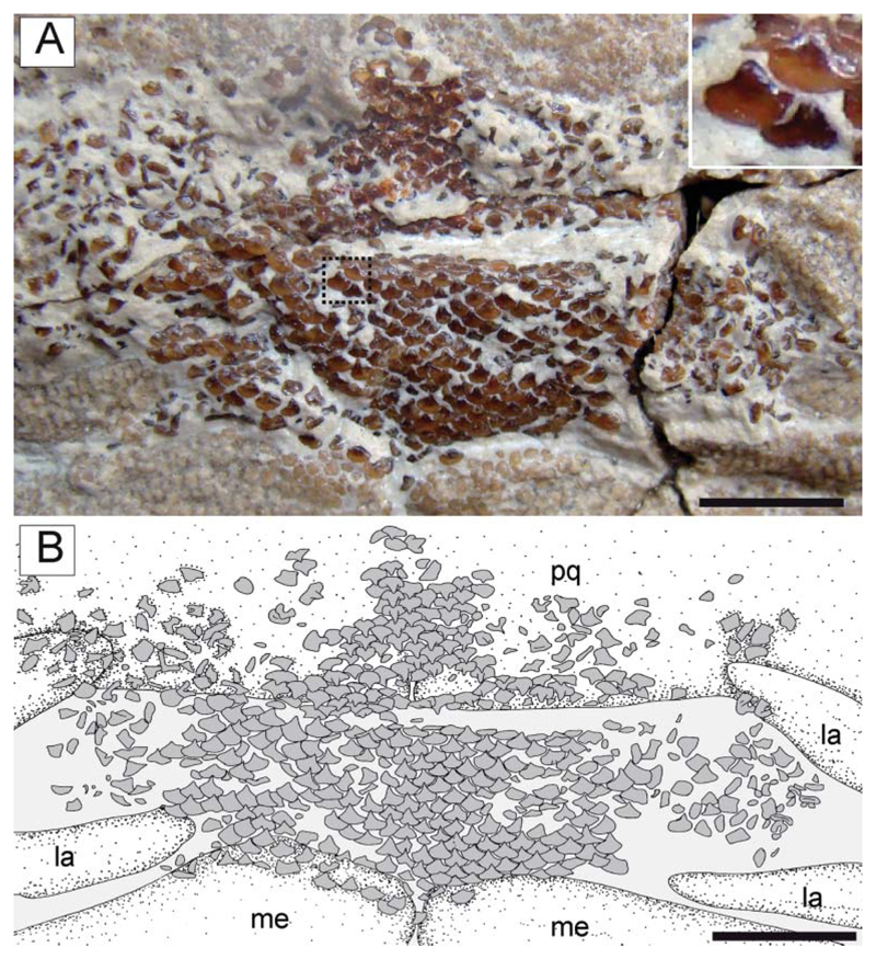 Figure 14