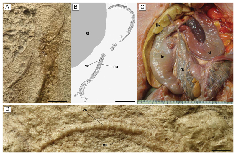 Figure 16