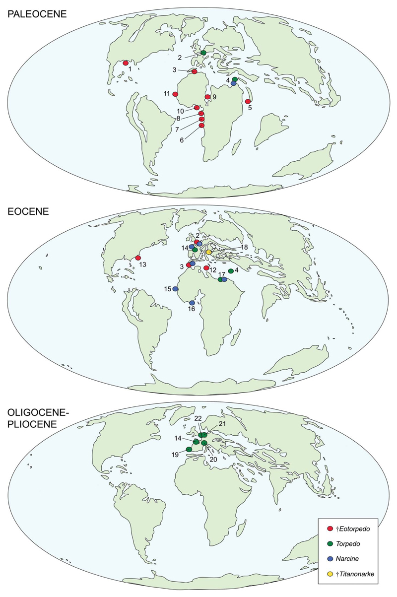 Figure 19