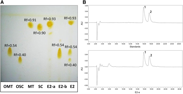 Figure 1