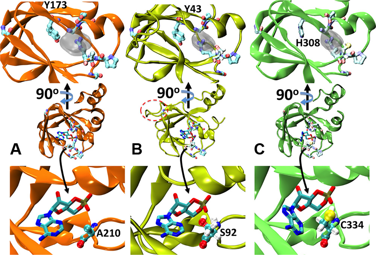 Fig. 4.
