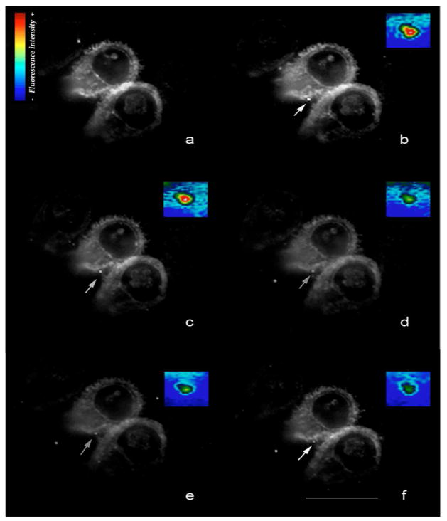 Fig. 2