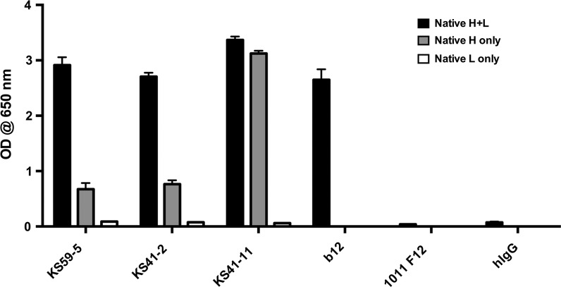 FIG. 3.