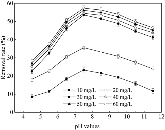 Figure 12