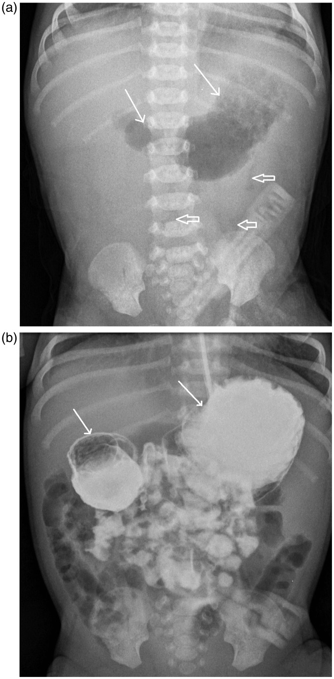 Fig. 1.