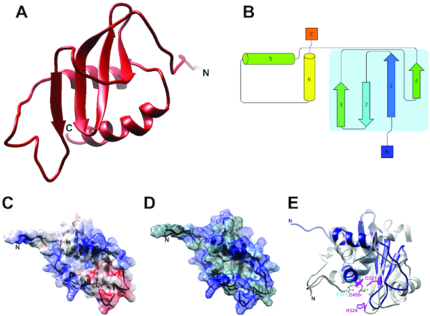 Figure 4.