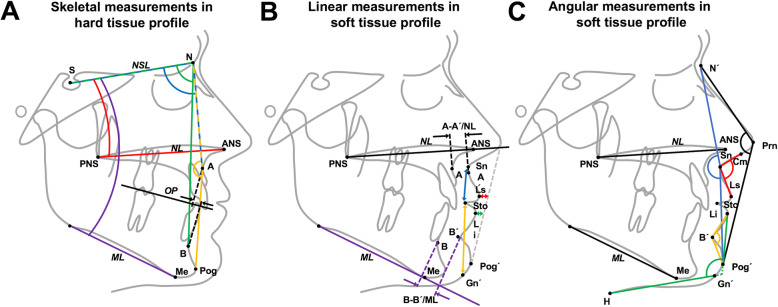 Fig. 1