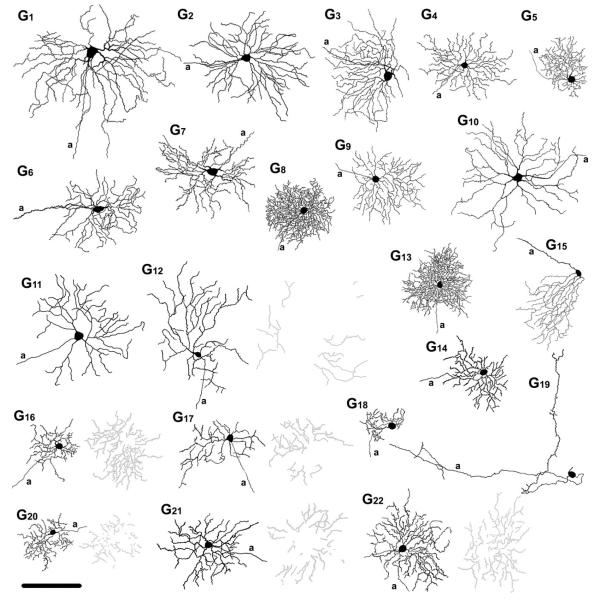 Figure 13