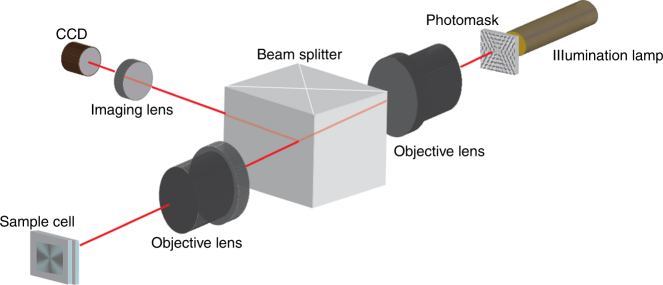 Fig. 7