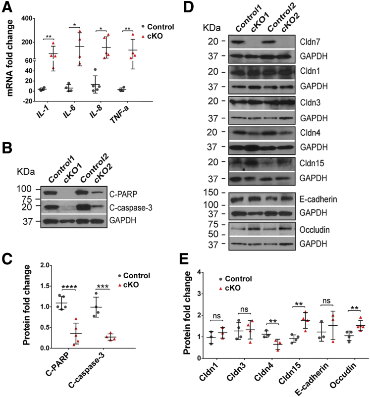 Figure 6