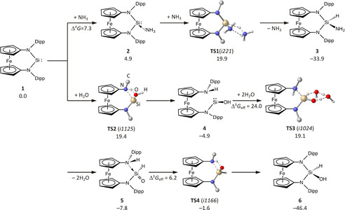 Scheme 3