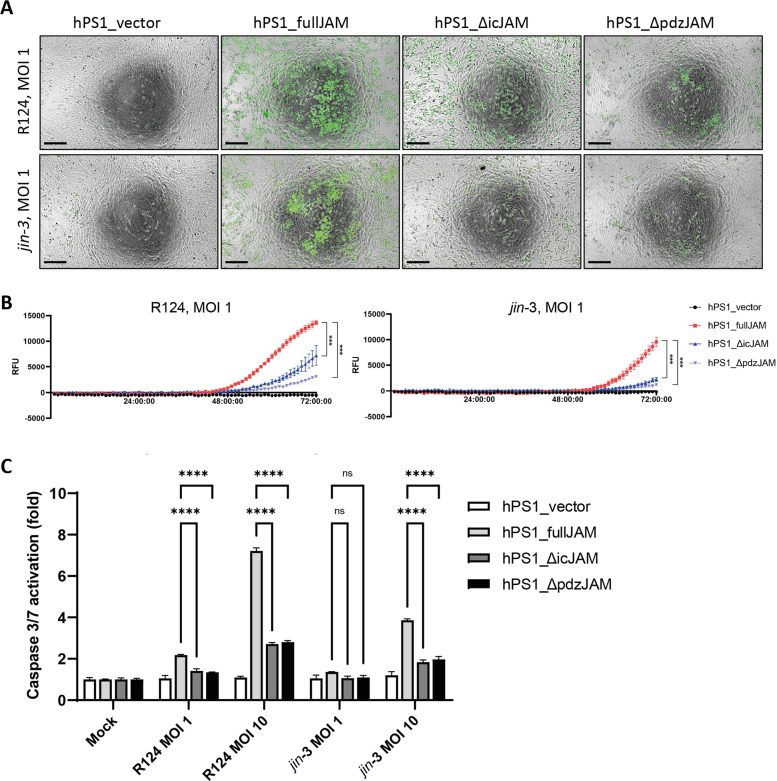 Fig. 6