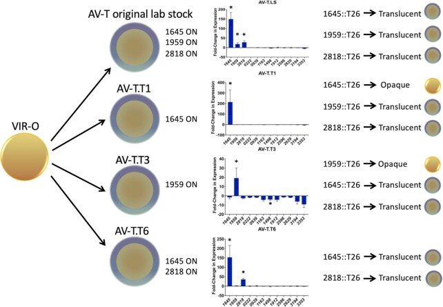 Fig. 2.