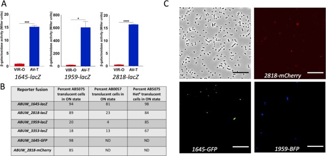 Fig. 4.