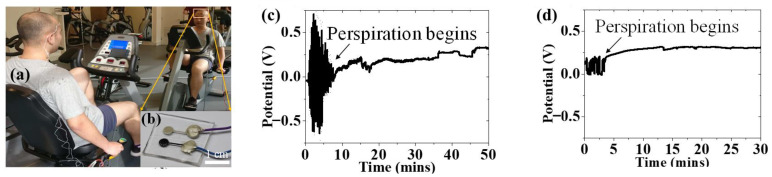 Figure 16