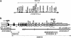 Figure  1