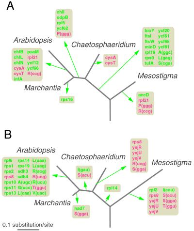 Fig 2.