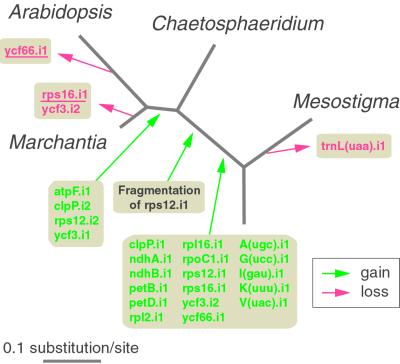 Fig 3.