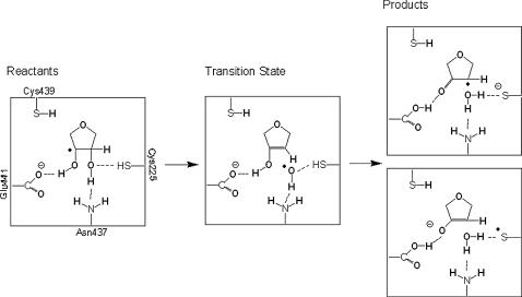 SCHEME 2