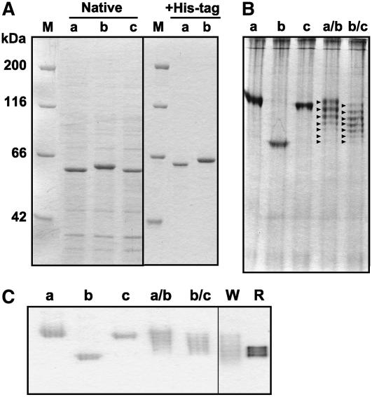 Figure 3.