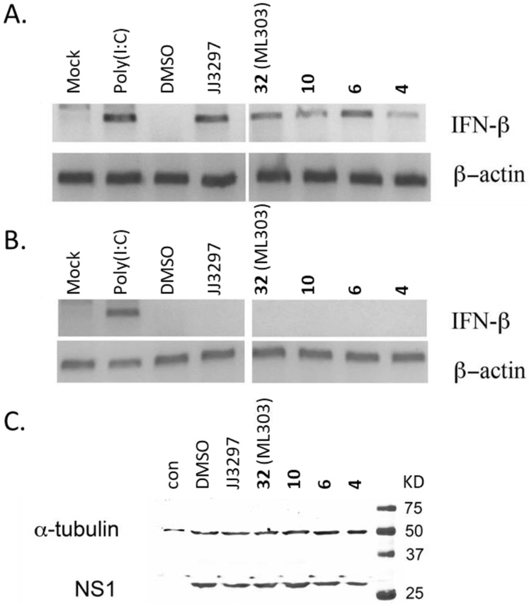 Figure 5.