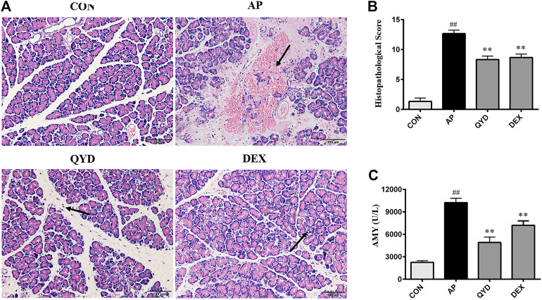 FIGURE 6