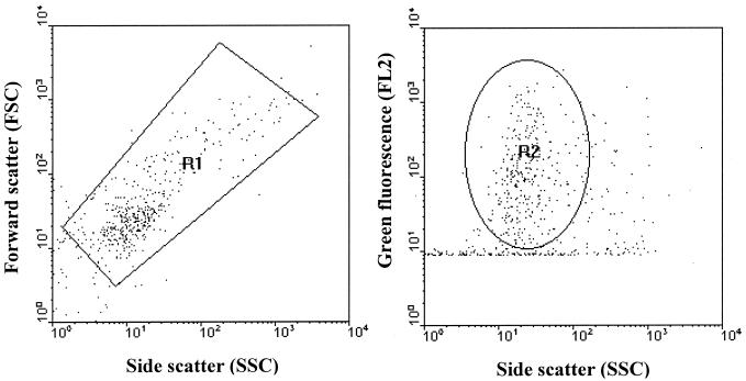 FIG. 3