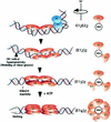 FIG. 7.