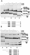 FIG. 4.