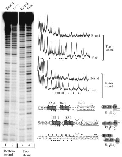 FIG. 5.