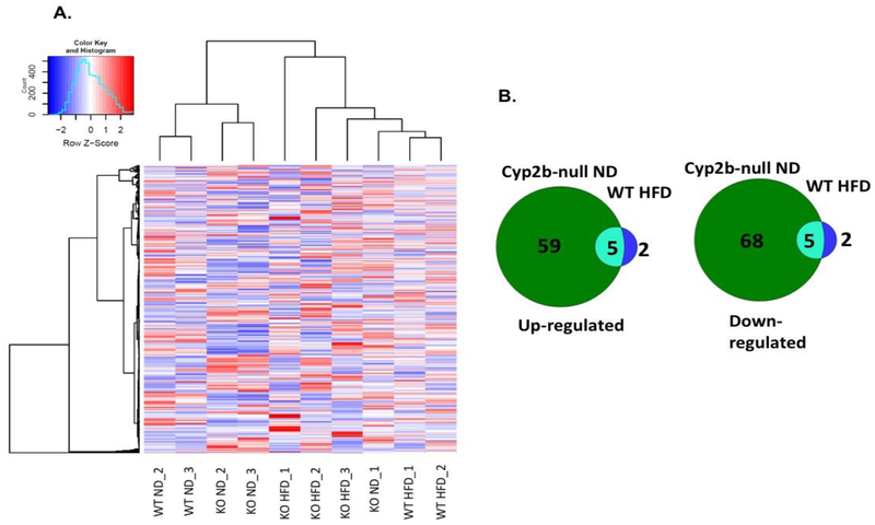 Fig. 7: