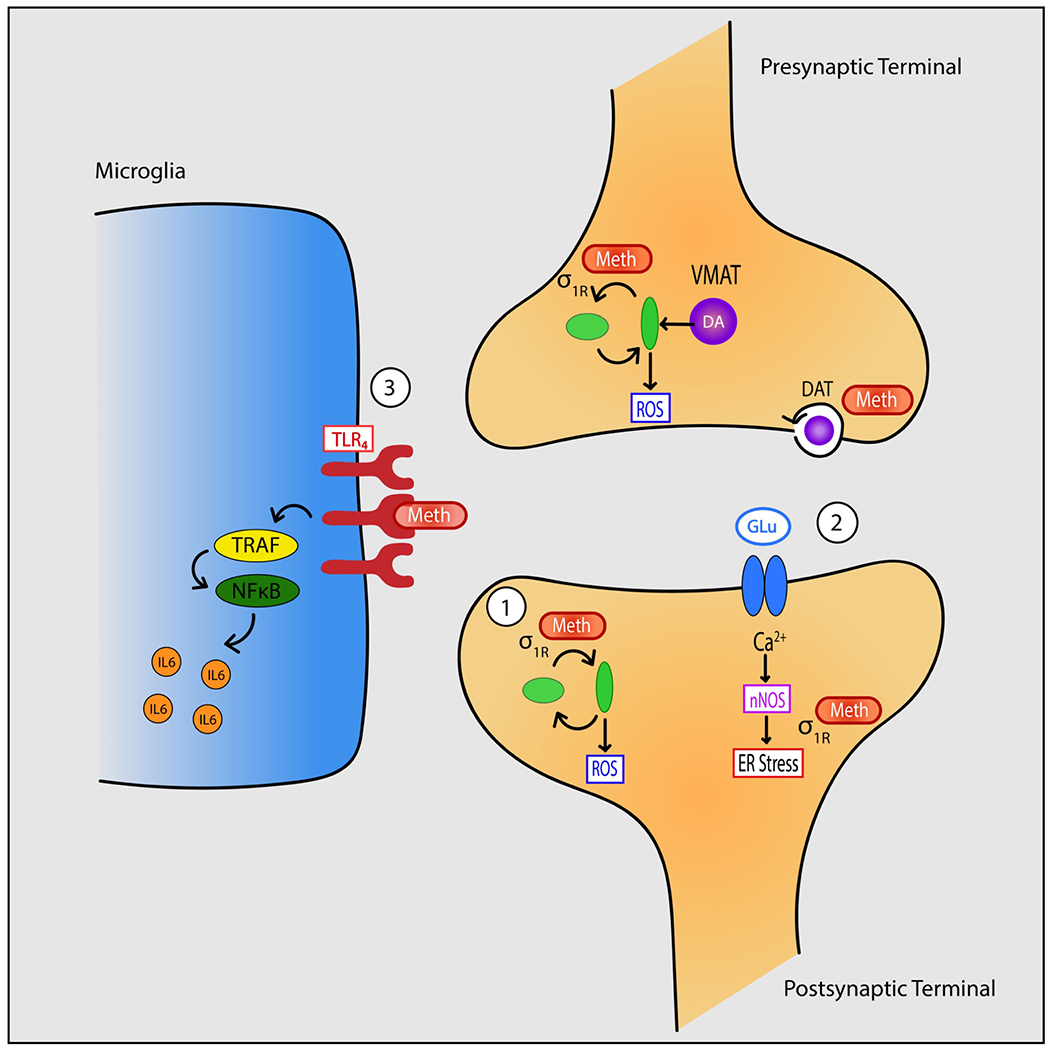 Figure 2: