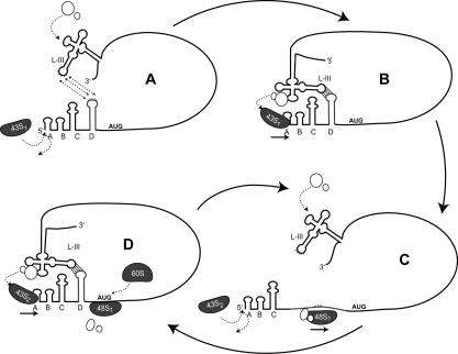 FIGURE 9.