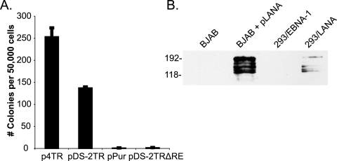 FIG. 7.