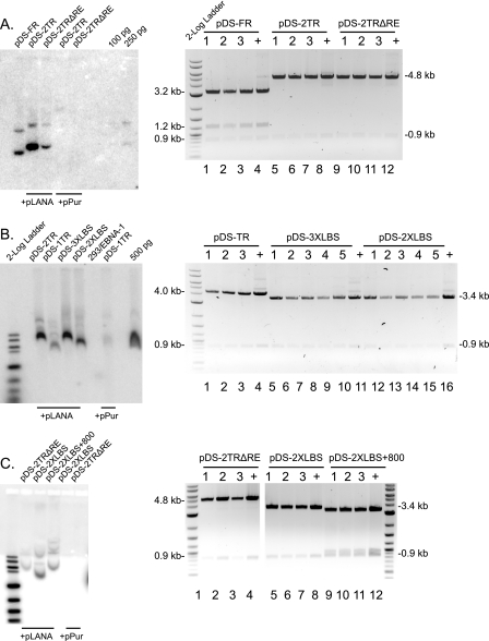 FIG. 6.