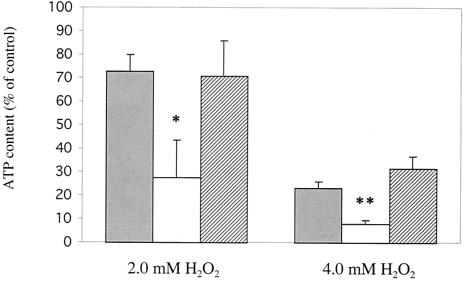 FIG. 5.