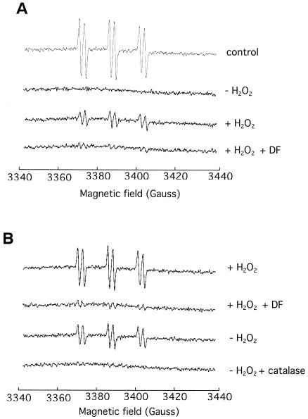 FIG. 7.