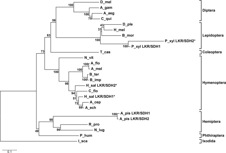 Fig 4