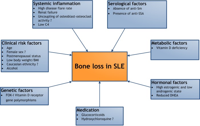 Figure 1