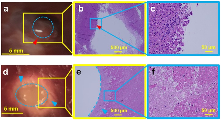 Fig 9