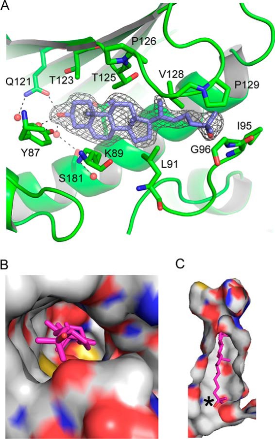 Figure 7.