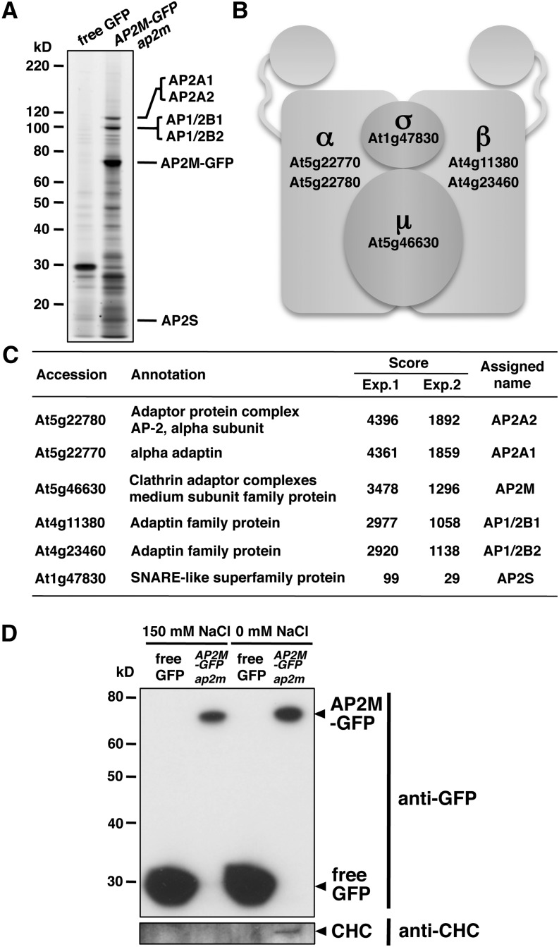 Figure 3.