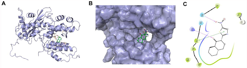 Figure 6.